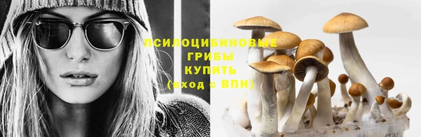 Альфа ПВП Абинск