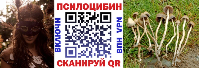 Галлюциногенные грибы Cubensis  blacksprut ТОР  Александровск-Сахалинский  купить закладку 
